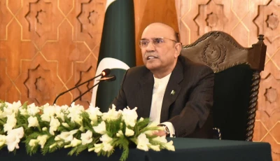 president asif ali zardari photo x