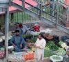 notified price reductions prove fruitless