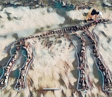 prehistoric pakistan