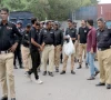 containers tear gas arrests mark pti s rally