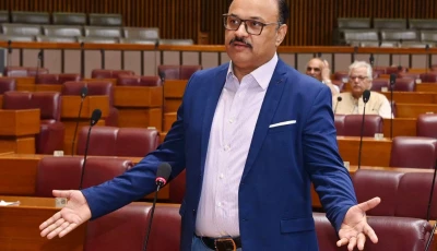 pakistan tehreek e insaf pti chief whip malik aamir dogar photo meta file