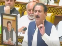 punjab assembly pa opposition leader muhammad moeen ud din riaz qureshi addressing the floor of the house photo screengrab