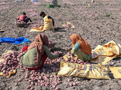 women farmers to get access to better fertiliser equipment women farmers to get access to better fertiliser equipment