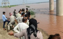 punjab fish farmers suffer massive losses as floods wipe out millions of fish punjab fish farmers suffer massive losses as floods wipe out millions of fish