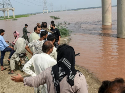 punjab fish farmers suffer massive losses as floods wipe out millions of fish punjab fish farmers suffer massive losses as floods wipe out millions of fish