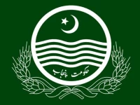 punjab completes local govt delimitation