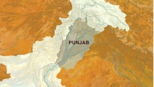 tribune