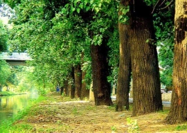 pha s purview extended to district level