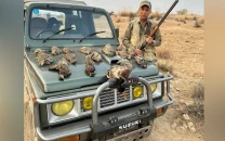 punjab generates over rs3m on first day of partridge hunting permit auction punjab generates over rs3m on first day of partridge hunting permit auction
