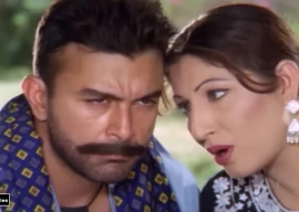 the politics of a punjabi song