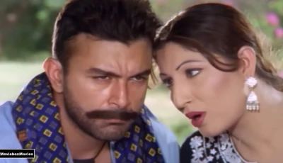 the politics of a punjabi song