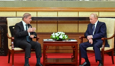 prime minister shehbaz sharif meets with russian president vladimir putin in beijing on september 2 photo x com govtofpakistan