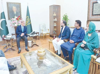 pml q supports premier s economic initiatives