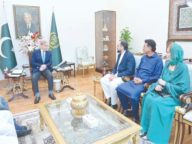 a pml q delegation calls on prime minister shehbaz sharif in islamabad photo ppi