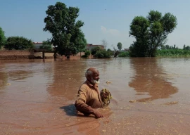 indian actions intensified flood crisis in pakistan say officials indian actions intensified flood crisis in pakistan say officials