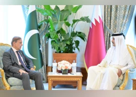 pm shehbaz urges muslim unity against israeli aggression in talks with qatari emir pm shehbaz urges muslim unity against israeli aggression in talks with qatari emir