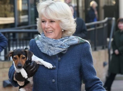 queen camilla mourns the loss of her beloved rescue dog beth a longtime royal companion queen camilla mourns the loss of her beloved rescue dog beth a longtime royal companion