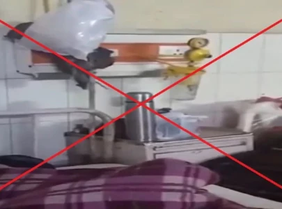 fact check viral video does not show rats roaming inside civil hospital quetta it s from india fact check viral video does not show rats roaming inside civil hospital quetta it s from india