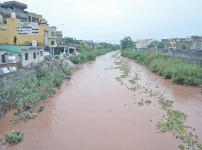 heavy rains trigger power outages heavy rains trigger power outages