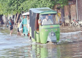 city rain inundates low lying areas city rain inundates low lying areas