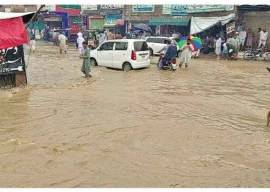 reinforcement of embankment ordered reinforcement of embankment ordered