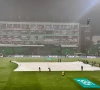 photo psl