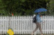 A pedestrian under an umbrella passes a rain covered car window. PHOTO: REUTERS