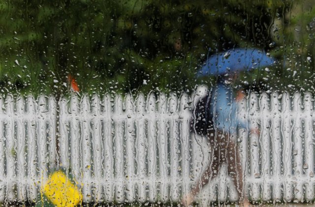 a pedestrian under an umbrella passes a rain covered car window photo reuters