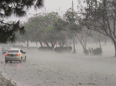joint emergency operation launched after hailstorm joint emergency operation launched after hailstorm