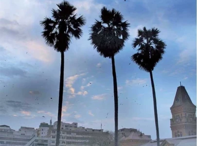 sea breeze brings respite to sweltering karachi sea breeze brings respite to sweltering karachi