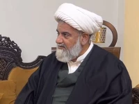 leader of the opposition in the senate and tehreek e tahaffuz e ain pakistan deputy chief allama raja nasir abbas screengrab