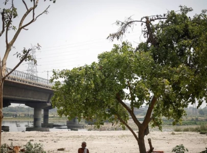 india s delhi sees first heat related death this year as capital sizzles