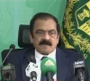 adviser to the prime minister on political affairs rana sanaullah screengrab