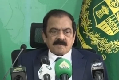 adviser to the prime minister on political affairs rana sanaullah screengrab