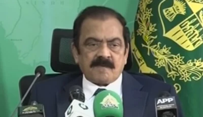 adviser to the prime minister on political affairs rana sanaullah screengrab