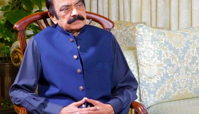 prime minister s adviser and senior pml n leader rana sanaullah photo app file