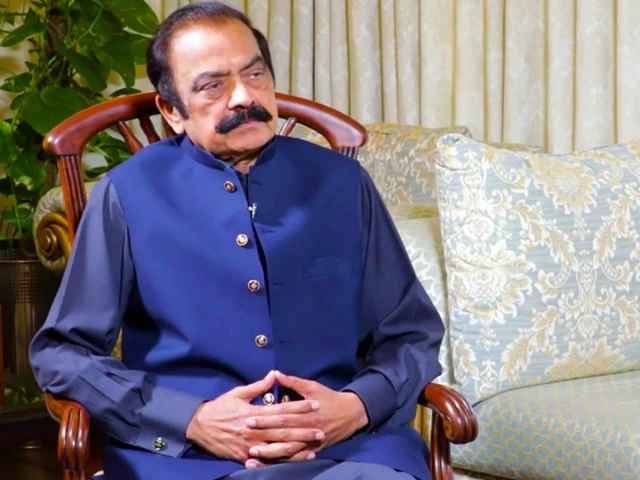 prime minister s adviser and senior pml n leader rana sanaullah photo app file prime minister s adviser and senior pml n leader rana sanaullah photo app file