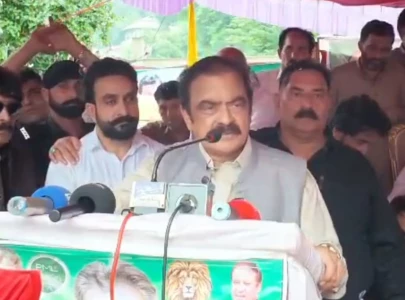 rana sanaullah questions president zardari s election as pml n hits back at ppp over 2024 polls rana sanaullah questions president zardari s election as pml n hits back at ppp over 2024 polls