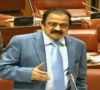 adviser to the prime minister on political affairs rana sanaullah speaking on the floor of senate on october 29 2026 photo screengrab adviser to the prime minister on political affairs rana sanaullah speaking on the floor of senate on october 29 2026 photo screengrab