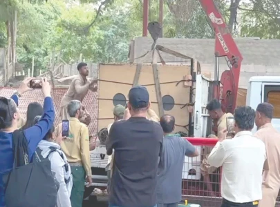 adieu rano adieu rano