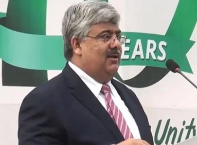 rashid mahmood langrial appointed fbr chairman