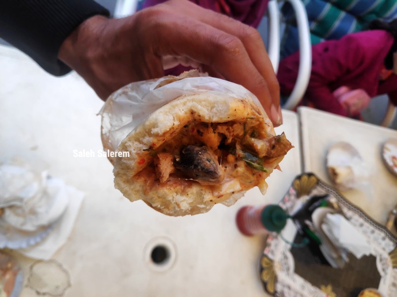 Lahore family served 'dead rat' in shawarma - Vimarsana News