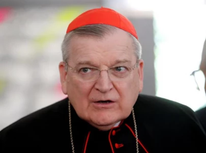 trump backs raymond burke to succeed pope francis amid vatican leadership transition trump backs raymond burke to succeed pope francis amid vatican leadership transition