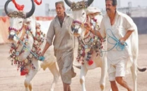 festival of hoofbeats and heritage returns to lahore