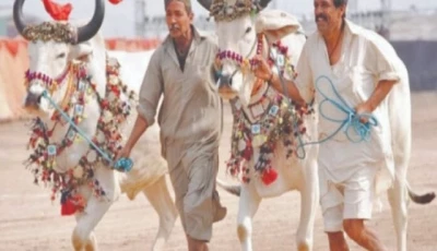 festival of hoofbeats and heritage returns to lahore