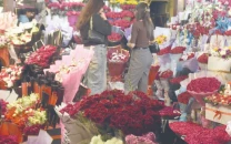 pindi dons red on valentine s day