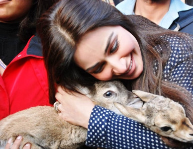 reema vs lahore zoo deer trouble for actor reema vs lahore zoo deer trouble for actor