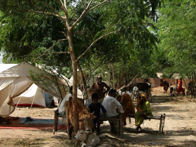 flood appeal raises 227 million un