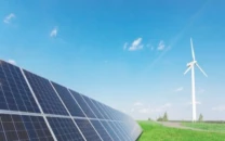 renewables in focus over oil crisis