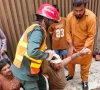 child killed four injured as under construction wall collapses in lahore child killed four injured as under construction wall collapses in lahore